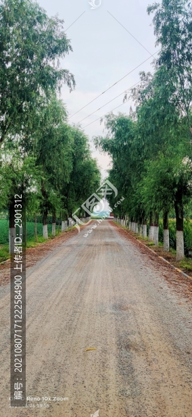 鄉(xiāng)村道路