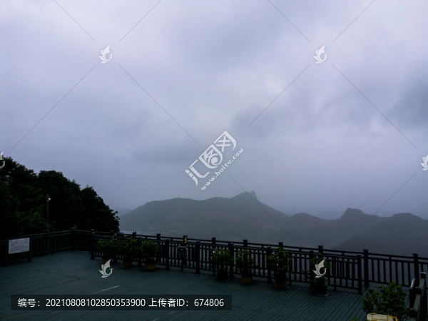 大山綠草叢林