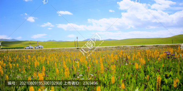?？撇菰? title=