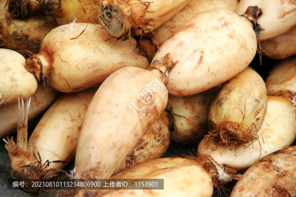 藕
