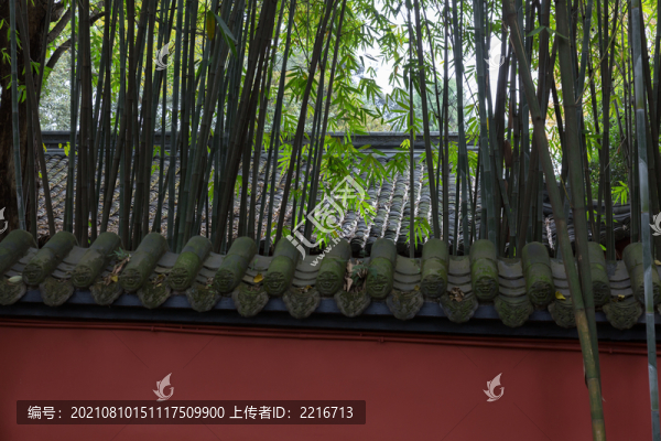 竹林