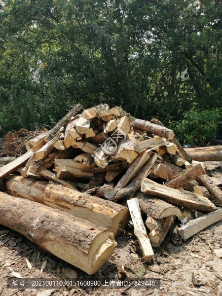 農(nóng)村生活場景砍柴柴火柴禾