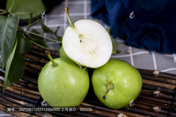 早酥梨