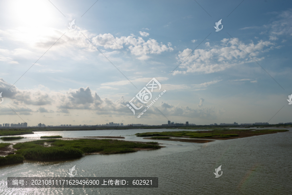 大沽河濕地