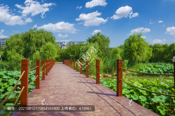 公園木橋