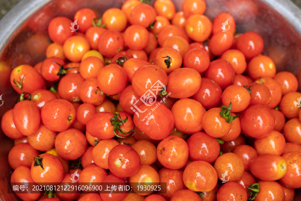 小番茄