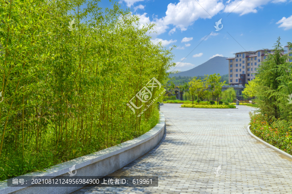 公園竹林
