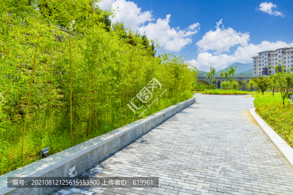 綠樹和樓房背景的青磚路面景觀