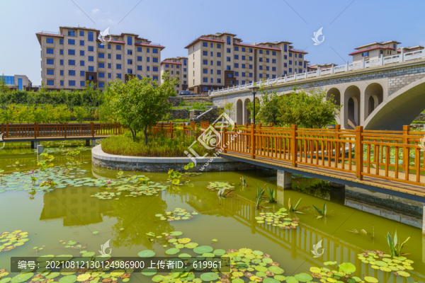 公園拱橋木橋湖景