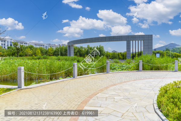 公園道路