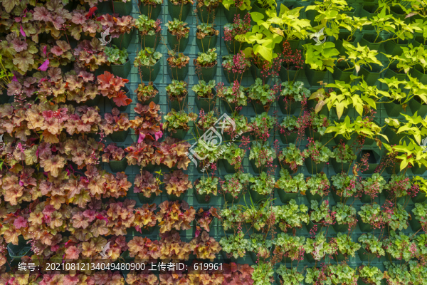 綠植墻