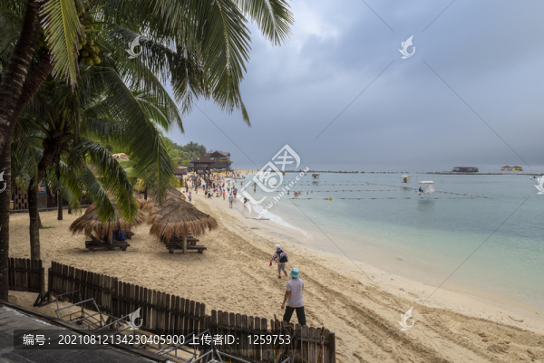 海邊椰林