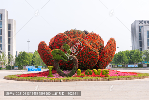 花壇