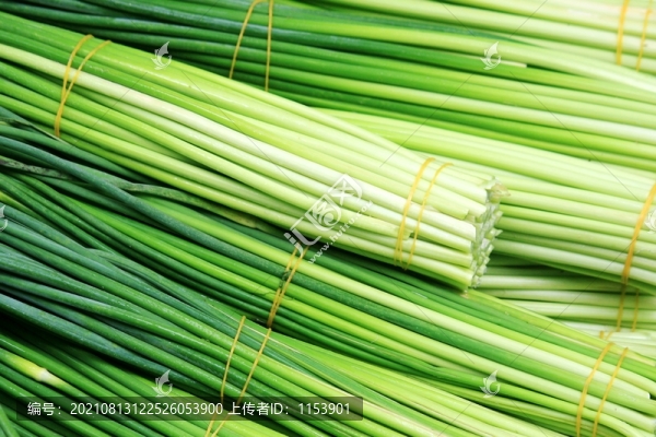 蒜薹