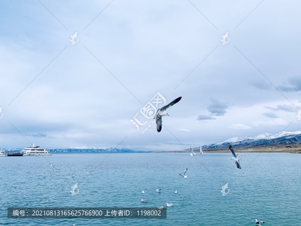 青海湖