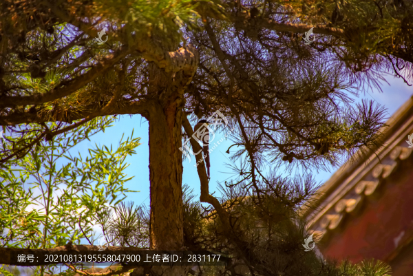 中國(guó)藝苑老北京四合院門(mén)頭