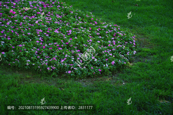 北京日壇公園