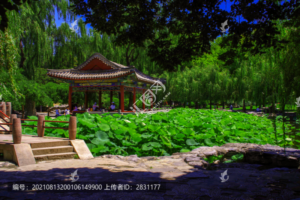 北京日壇公園