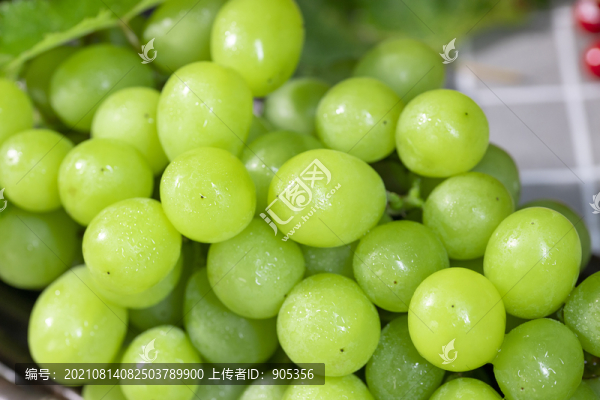 陽(yáng)光玫瑰晴王葡萄