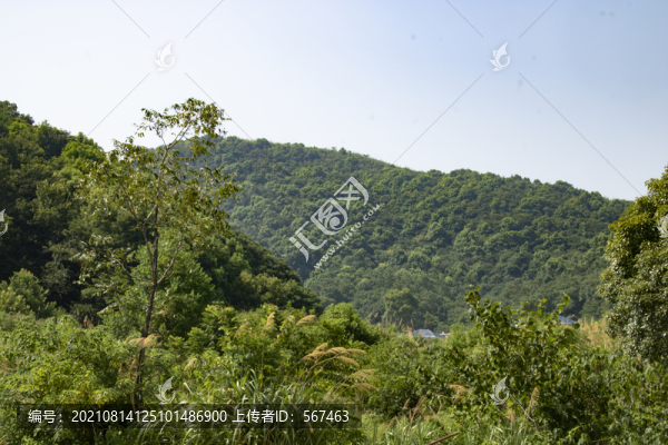 藍(lán)天山林綠樹(shù)