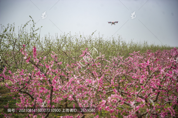 植保無人機(jī)