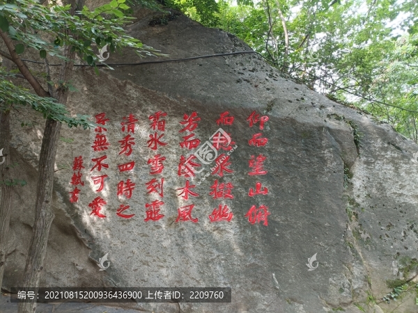 蘇軾書法