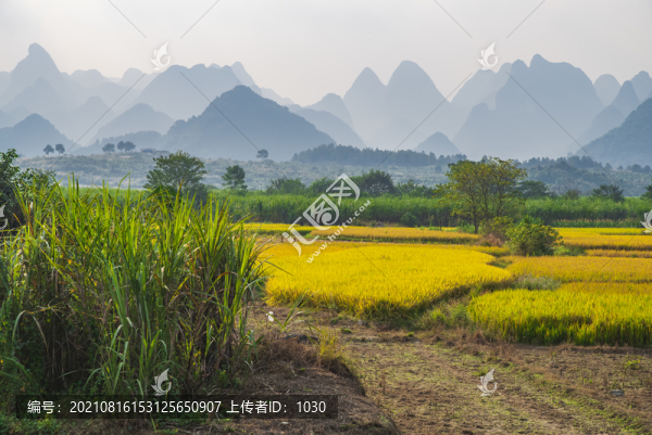 農(nóng)田風(fēng)景
