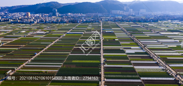 蔬菜生產(chǎn)基地