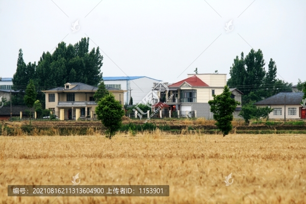 新農(nóng)村