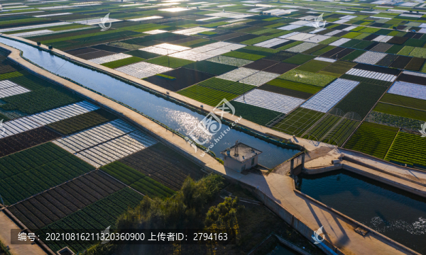 蔬菜生產(chǎn)基地