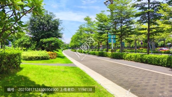 綠化城市