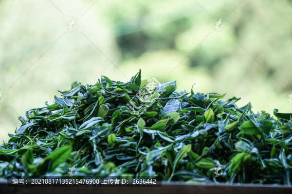 茶葉