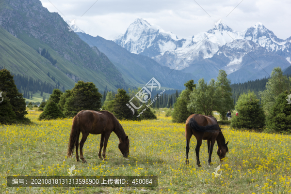 牧馬圖