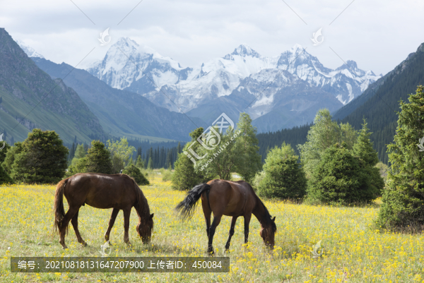 天山