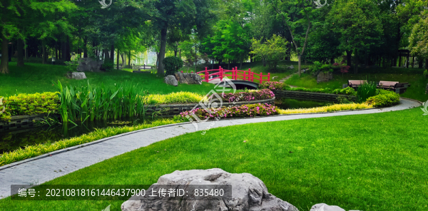 公園綠植