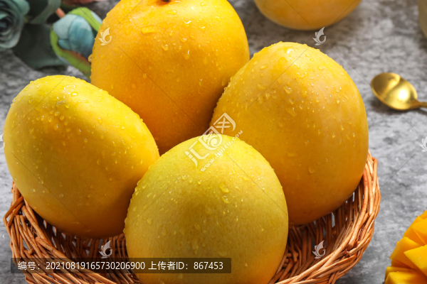 芒果