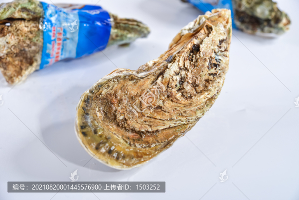 生蠔