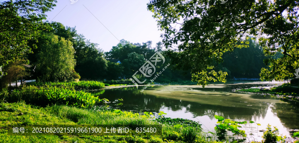 沼澤湖泊