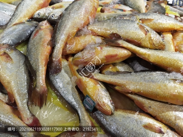 超市冰柜黃花魚