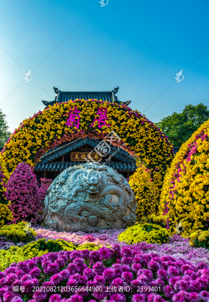 廣西南寧青秀山菊展