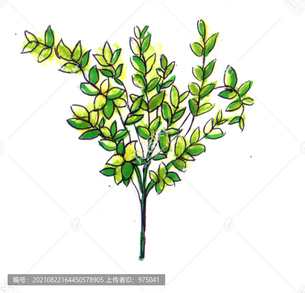 高清馬克筆婚禮花藝