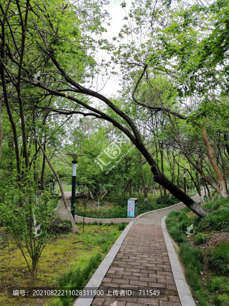 城市休閑公園
