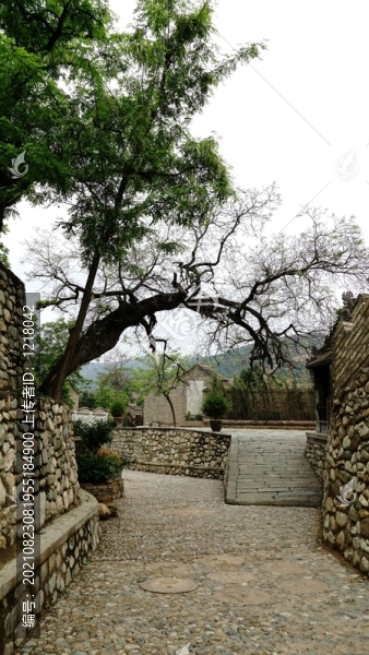 潼關(guān)縣秦東鎮(zhèn)水坡巷