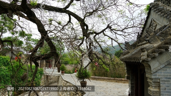潼關(guān)縣秦東鎮(zhèn)水坡巷