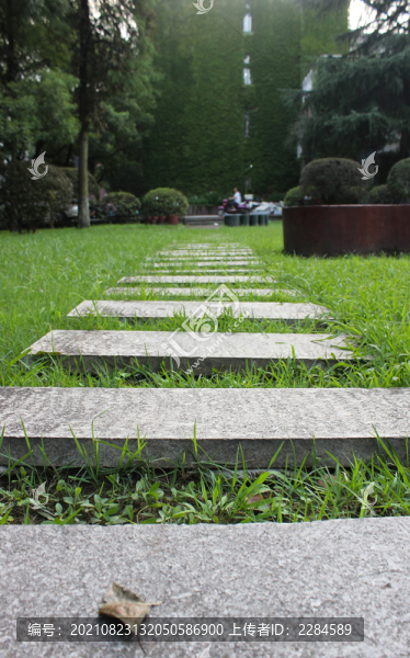 草坪石板路