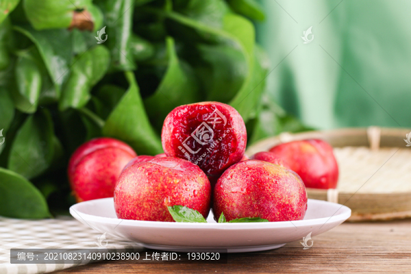 三華李