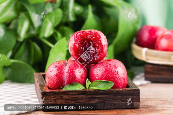 紅心三華李