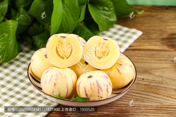 黃肉人參果