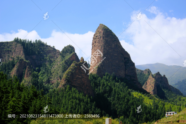 坎布拉國(guó)家森林公園
