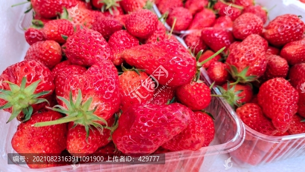 奶油草莓